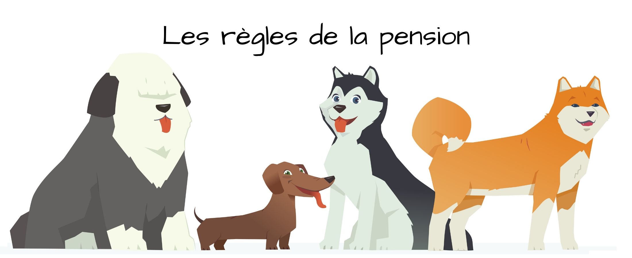 Les règles de la pension canine changent.