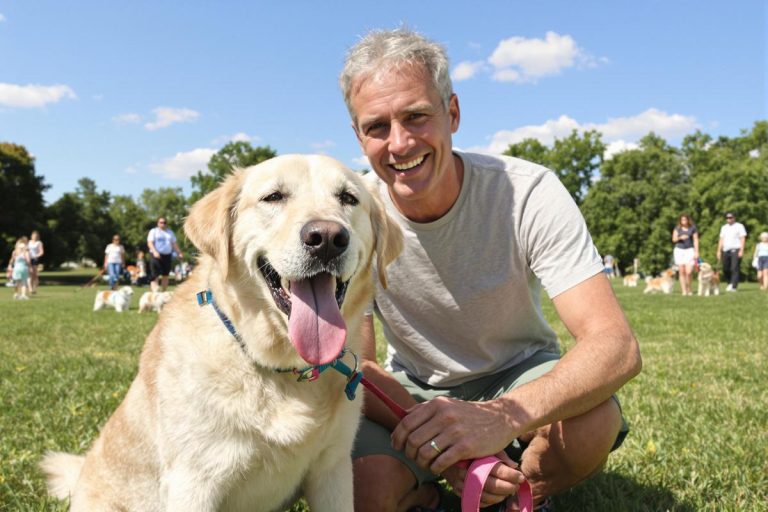 Cette nouvelle loi va changer la vie des propriétaires de chiens dès 2025.jpg